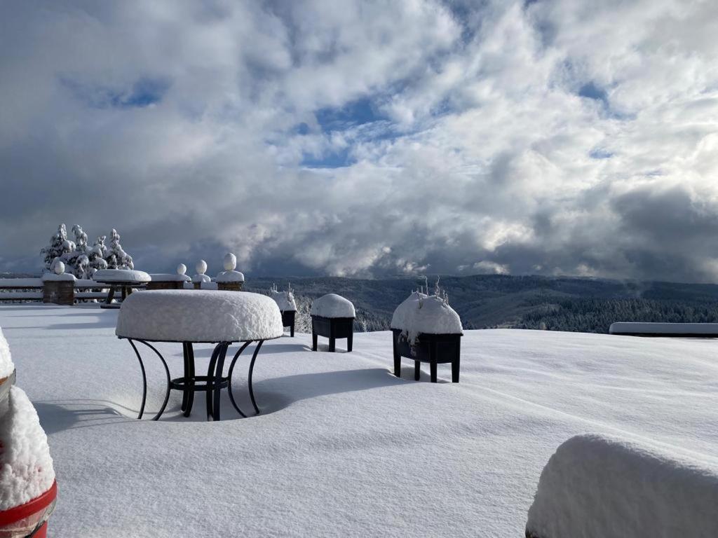 Berghotel Stutenhaus Schmiedefeld am Rennsteig Exteriér fotografie